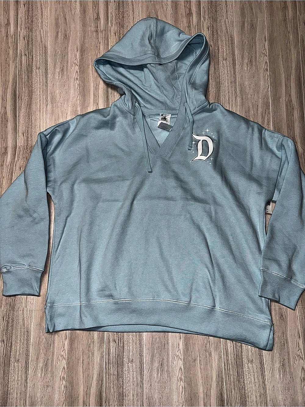 Disney Disneyland Resort hoodie Graphic Hoodie Size Medium NWT Blue